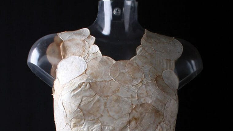 I tessuti vegetali saranno il futuro anche nella moda? - immagine di copertina