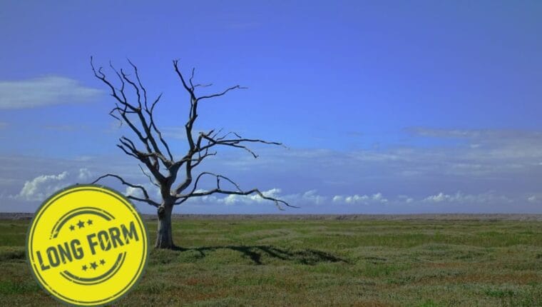 Per un'ecologia politica della Tuscia - immagine di copertina