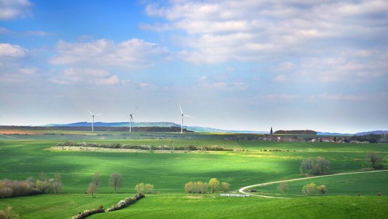 Tutto si trasforma, da Eraclito ad Herbert - immagine di copertina