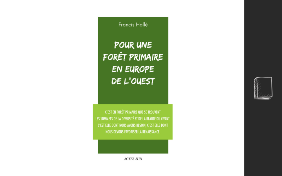 Pour une forêt primaire en Europe de l’Ouest