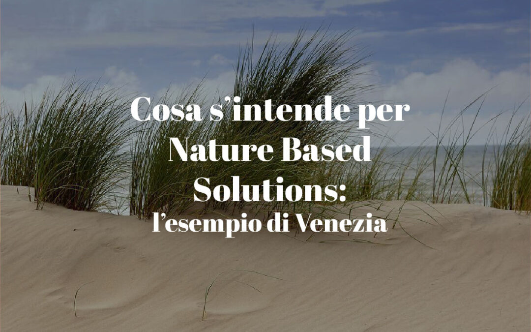 Cosa s’intende per Nature Based Solutions: l’esempio di Venezia