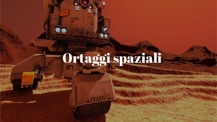 Ortaggi spaziali - immagine di copertina