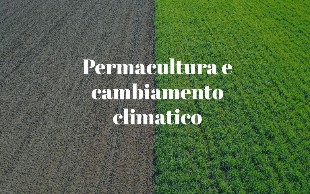 Permacultura e cambiamento climatico