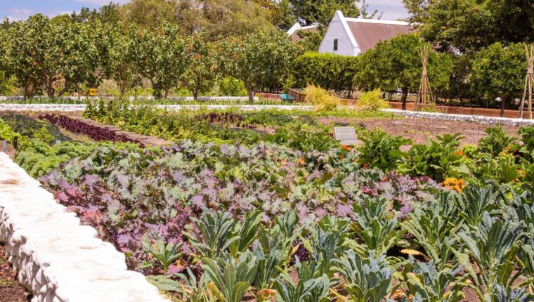 Permacultura urbana - immagine di copertina