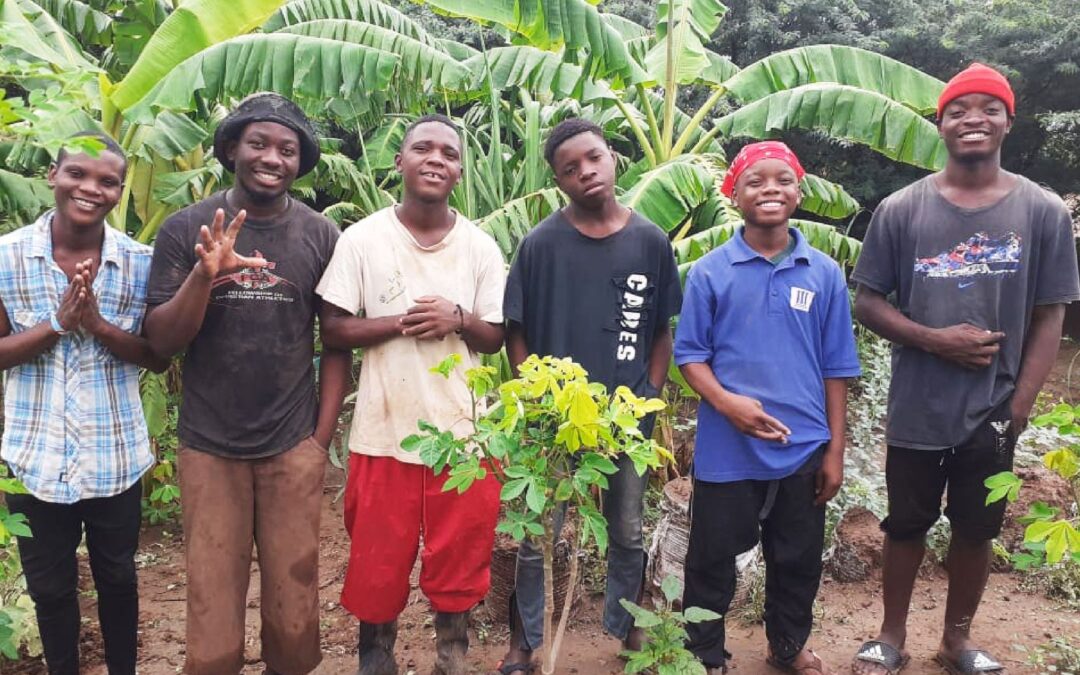 Permayouth: la permacultura per giovani