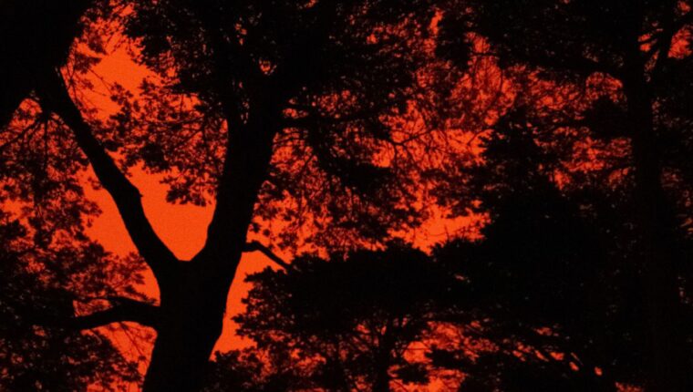 La Cop27 a Sharm el-Sheikh - immagine di copertina