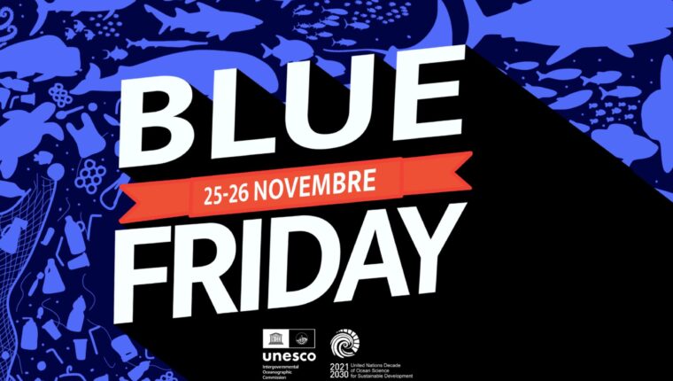 Blue Friday: l’alternativa ecologica al Black Friday - immagine di copertina