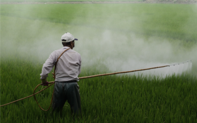 Pesticidi in tavola, la denuncia di Legambiente: utilizzo in aumento
