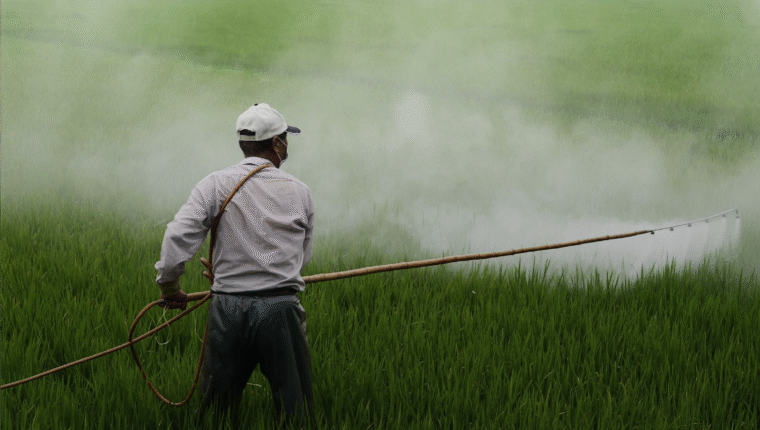 Pesticidi in tavola, la denuncia di Legambiente: utilizzo in aumento - immagine di copertina