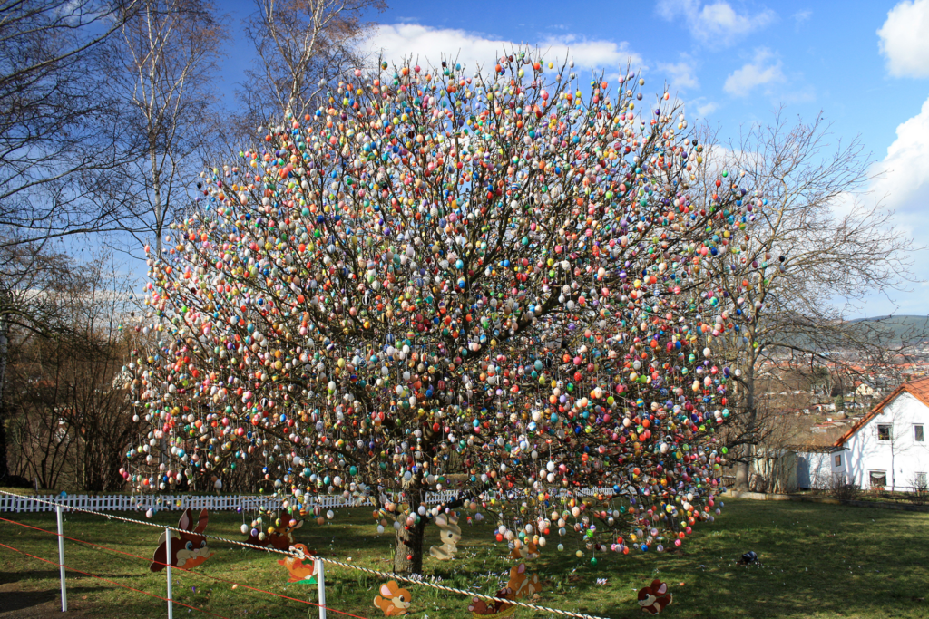 Eierbaum-Saalfeld - albero pasqua wikimedia