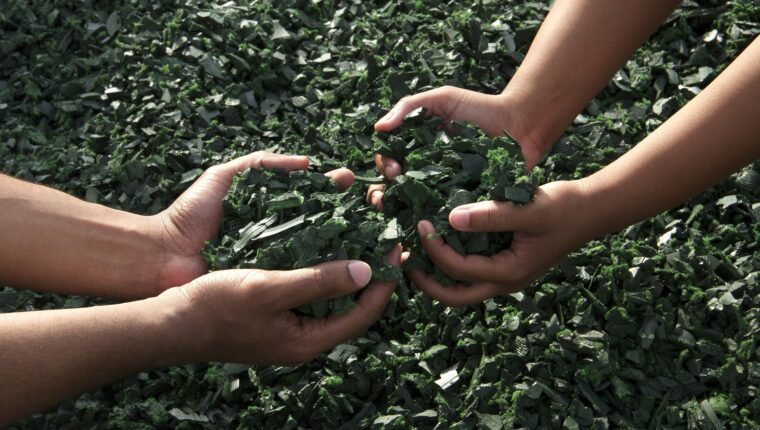 Economia Circolare: definizione - immagine di copertina