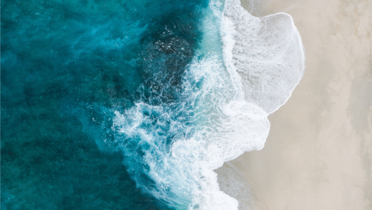 Approvato il Trattato per l’Alto Mare in difesa degli oceani - immagine di copertina