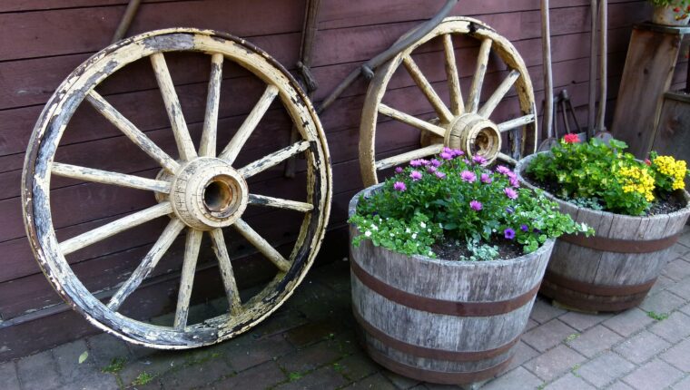 Esempi di economia circolare - immagine di copertina