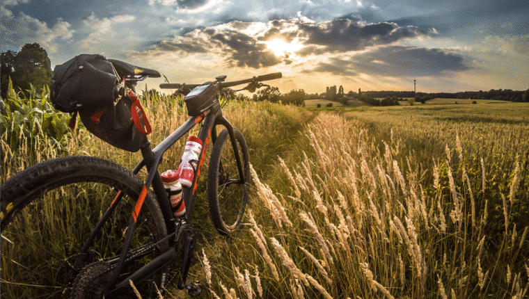Cicloturismo, viaggiare in bici piace sempre di più - immagine di copertina