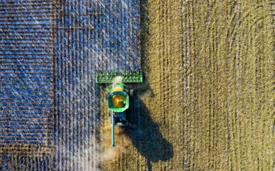 Possiamo ridurre i costi ambientali dell’agricoltura?