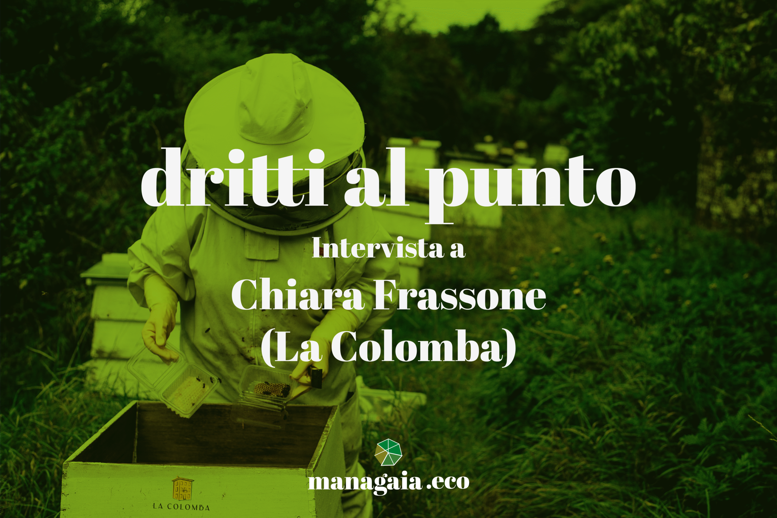 Dritti al punto: Chiara Frassone e La Colomba - immagine di copertina