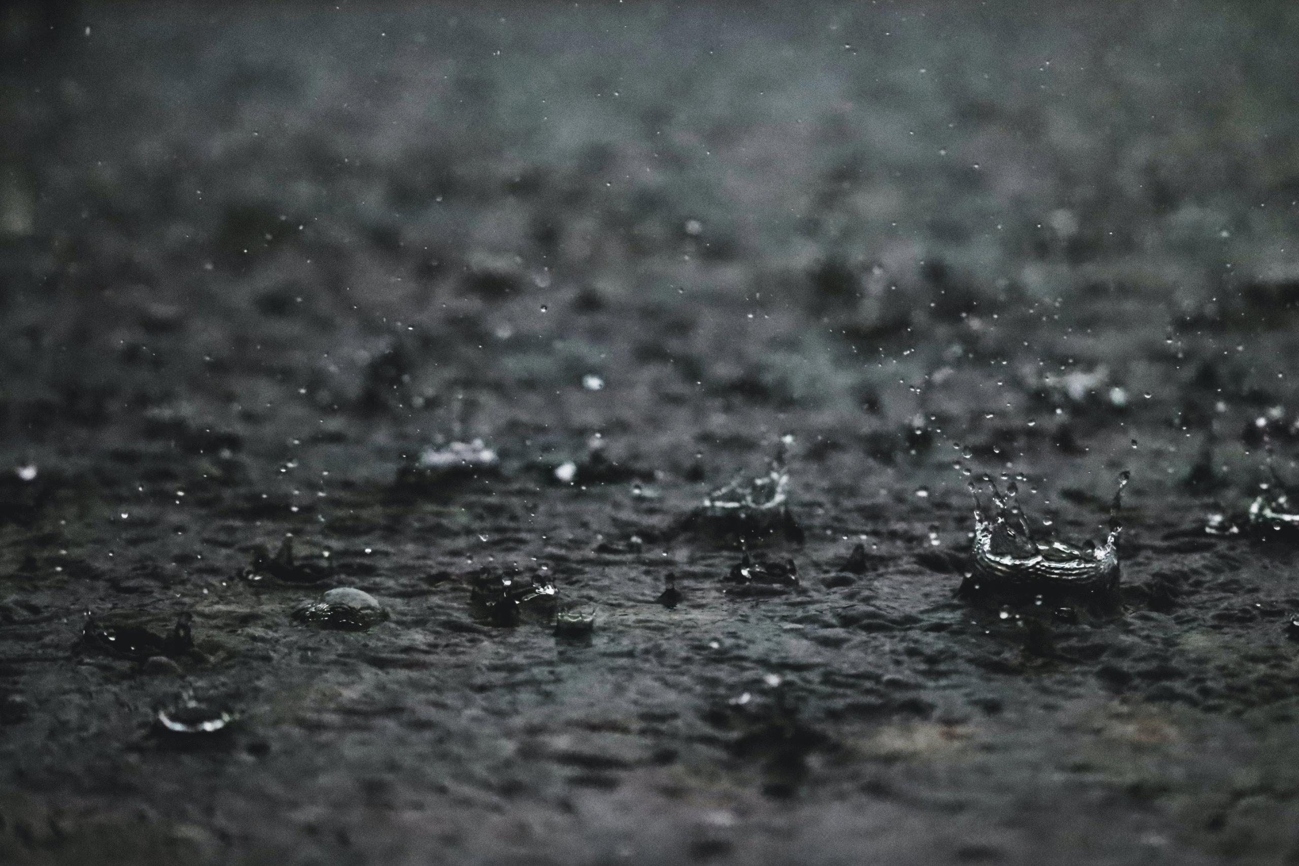 Perché l'alluvione in Emilia Romagna è così disastrosa - immagine di copertina