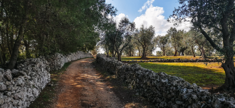 Il Cammino del Salento. Cinque giorni a piedi da Lecce a Santa Maria di Leuca - immagine di copertina