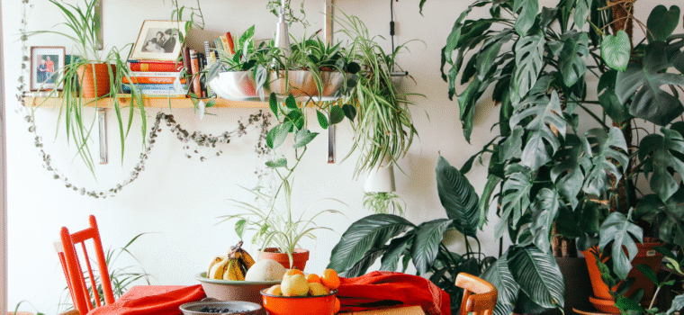 8 consigli per uno stile di vita sano e green - immagine di copertina