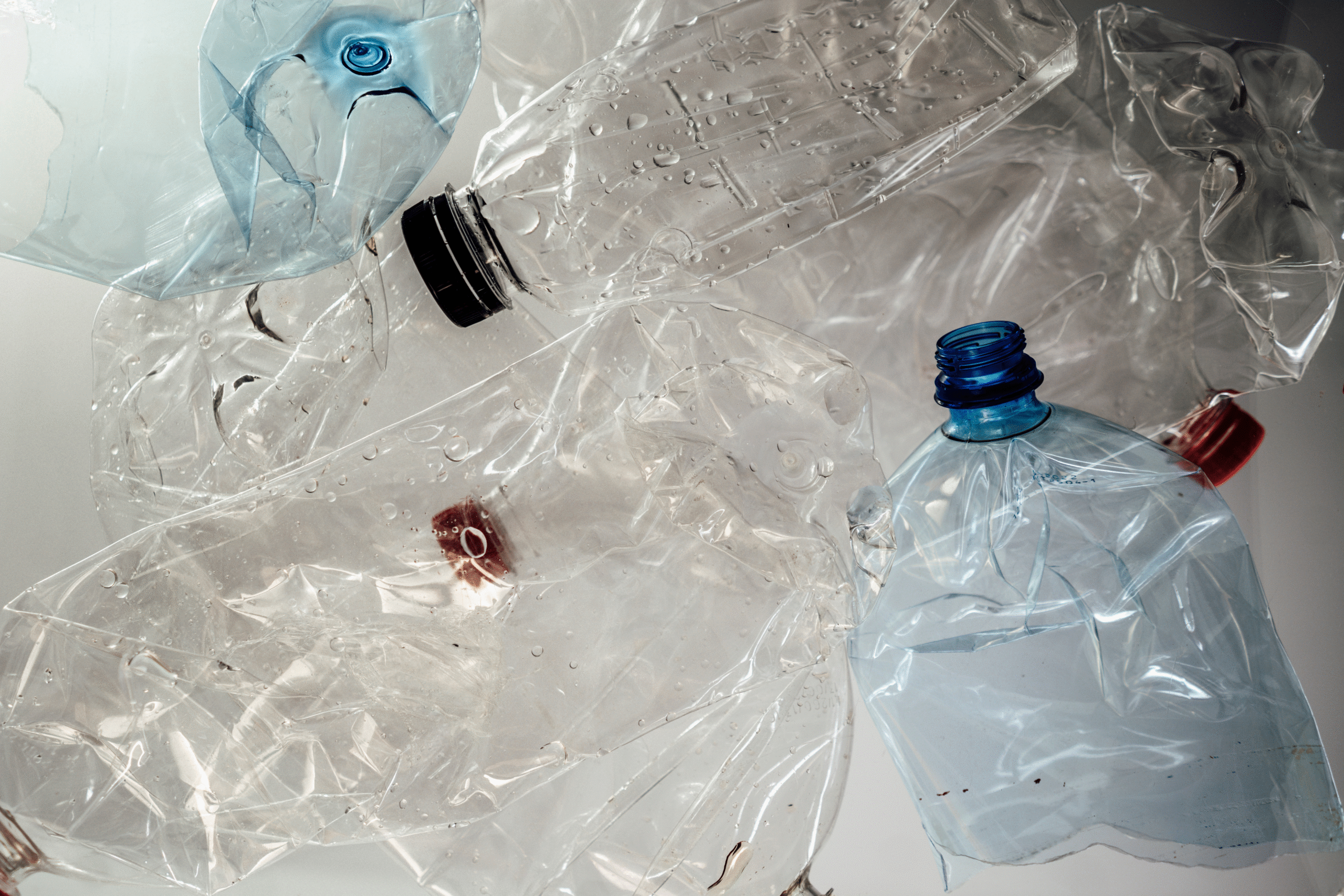 Buttare la plastica: ecco tutti gli errori più comuni - immagine di copertina
