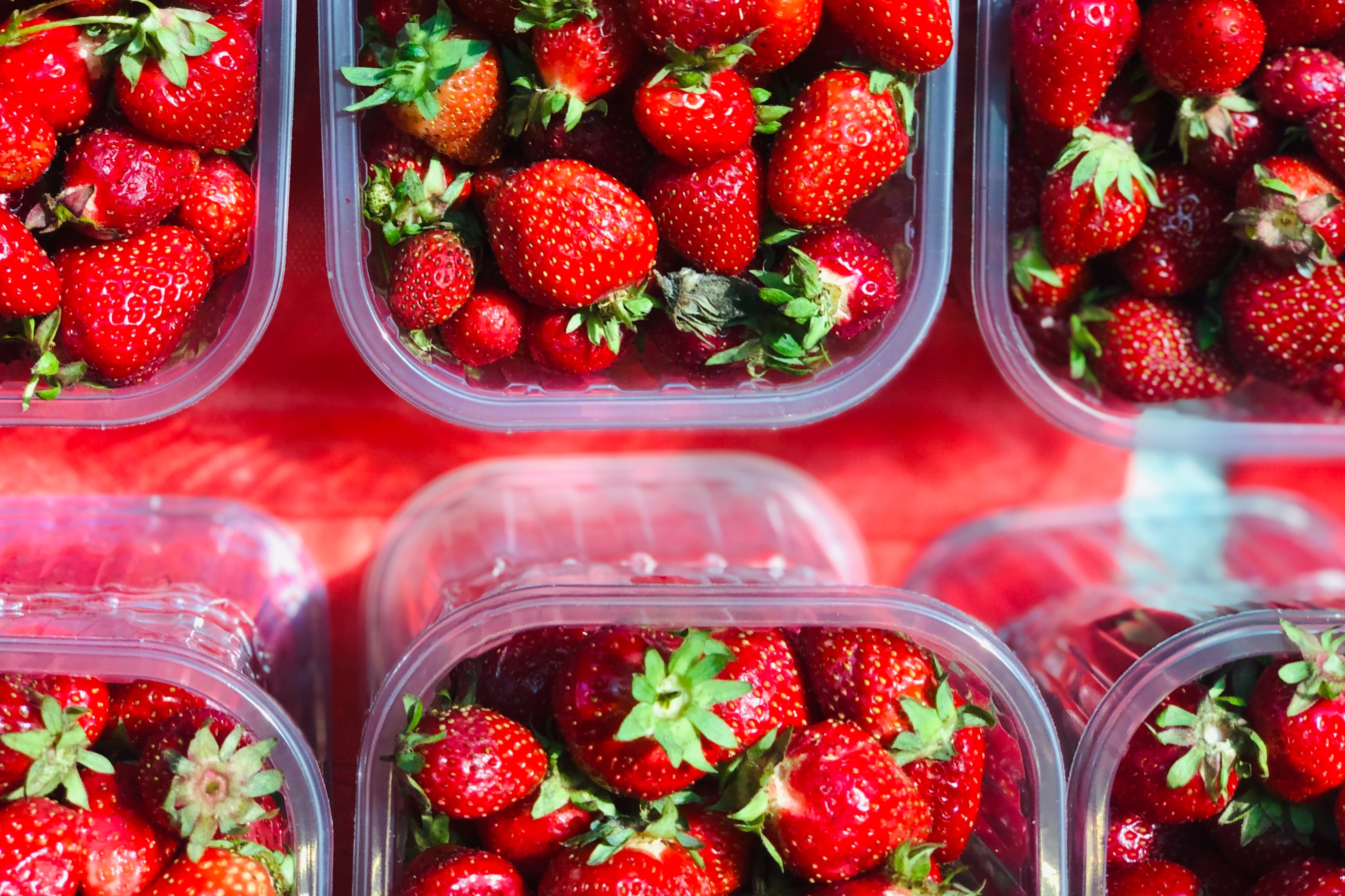 Quanto ci costa rimandare la Plastic Tax - immagine di copertina