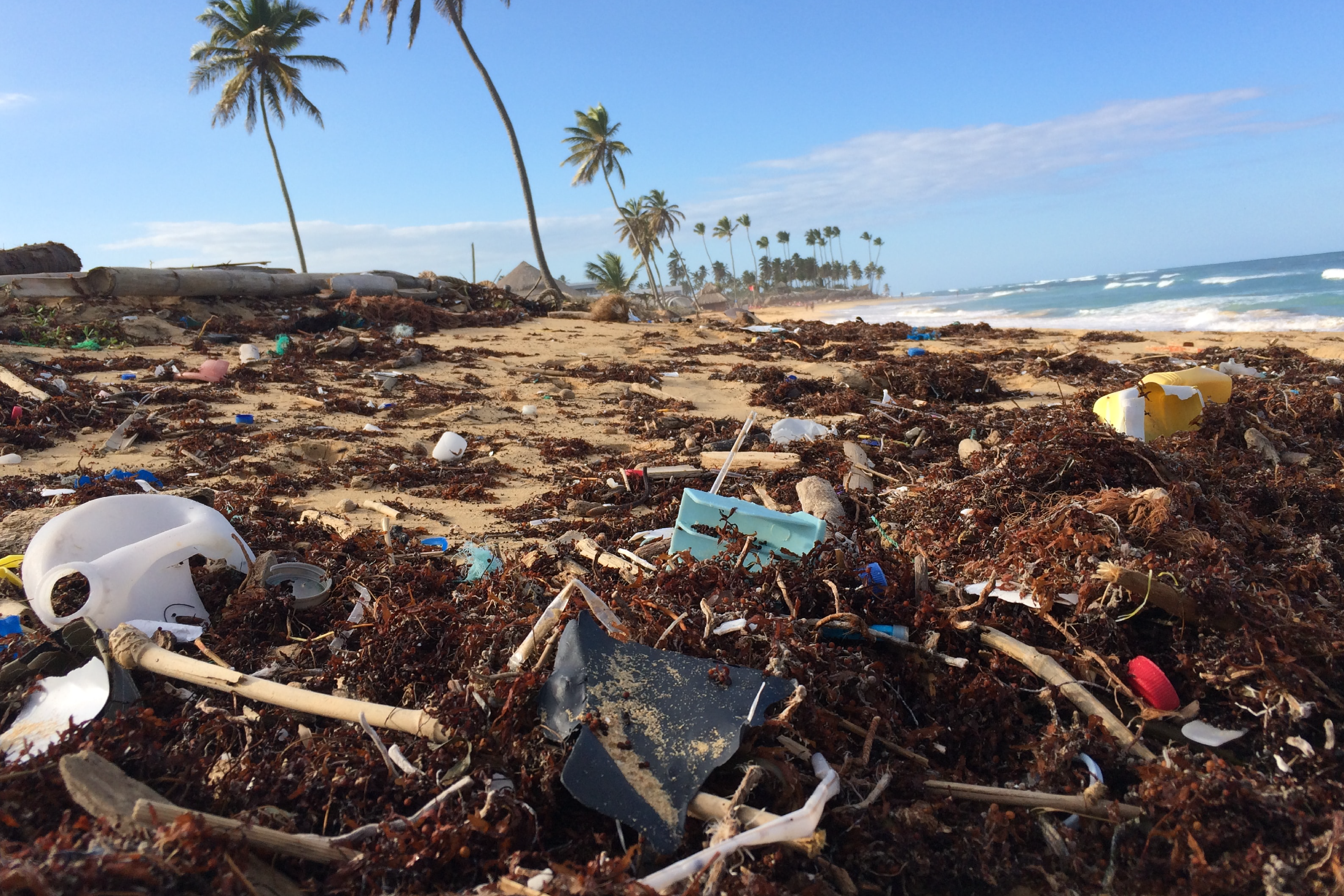 Cinque rifiuti che potresti trovare (e raccogliere) in spiaggia - immagine di copertina