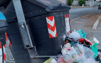 Secchioni straboccanti e spazzatura in strada: cosa devi fare con i tuoi rifiuti