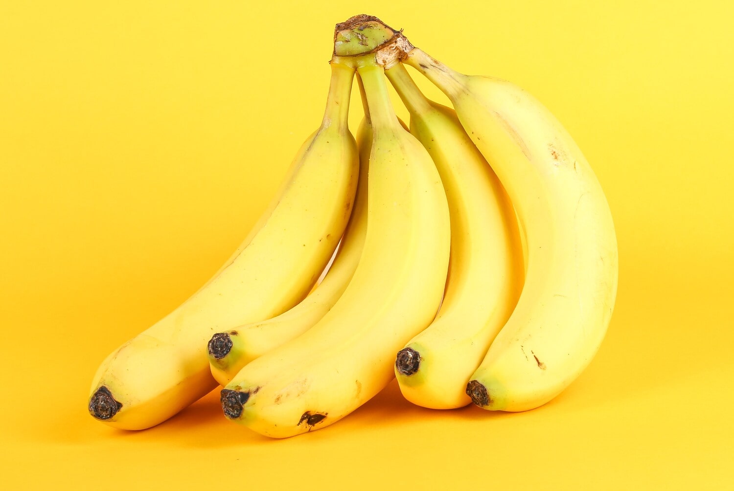 3 deliziose ricette con le banane: un tocco di dolcezza per la tua cucina - immagine di copertina