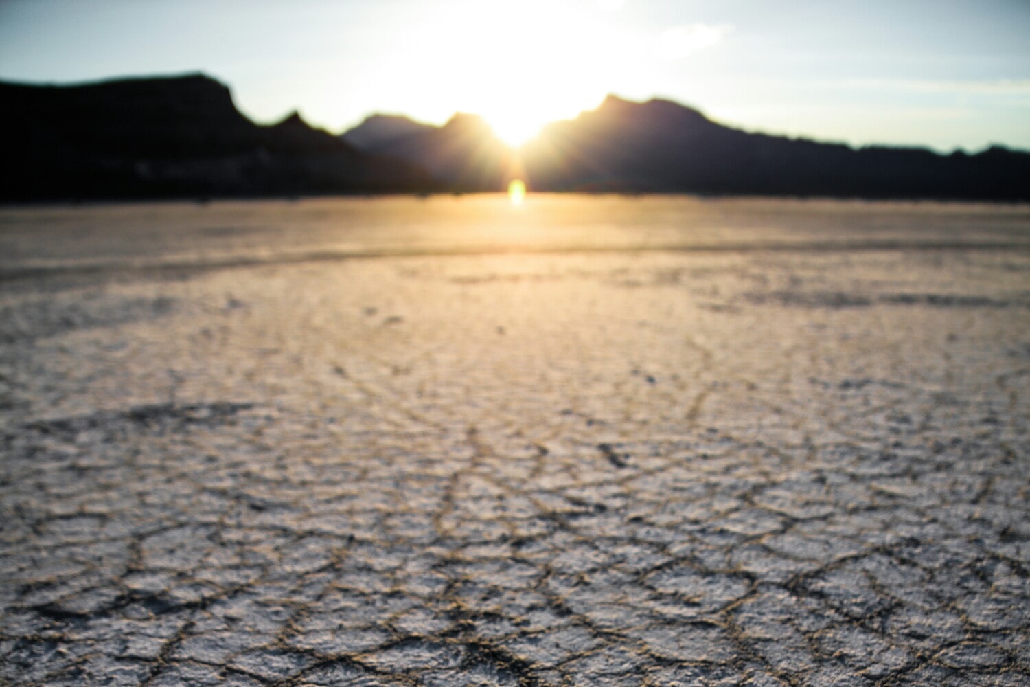 Con il cambiamento climatico cala l'aspettativa di vita - immagine di copertina