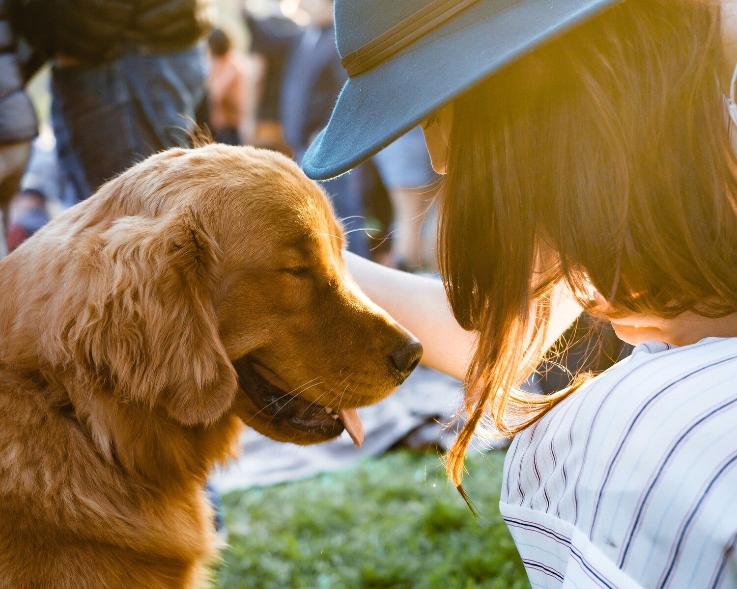 La pet therapy: un approccio naturale per il benessere psicofisico - immagine di copertina