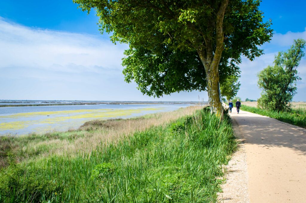 Il drittone che va a Pontegrandi