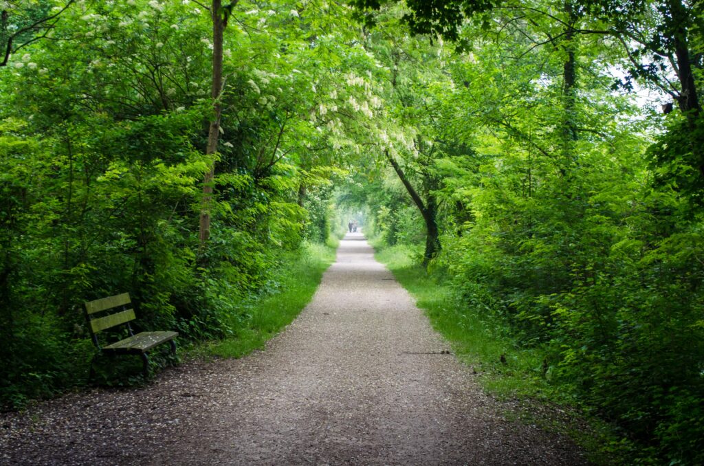 Camminando lungo i GiraSile