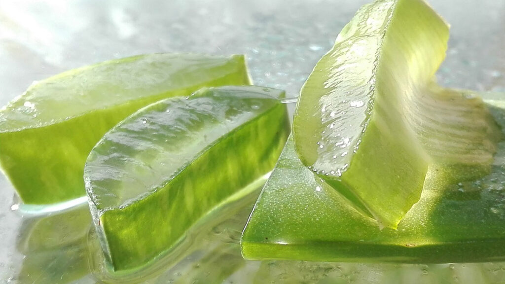 Gel di aloe vera