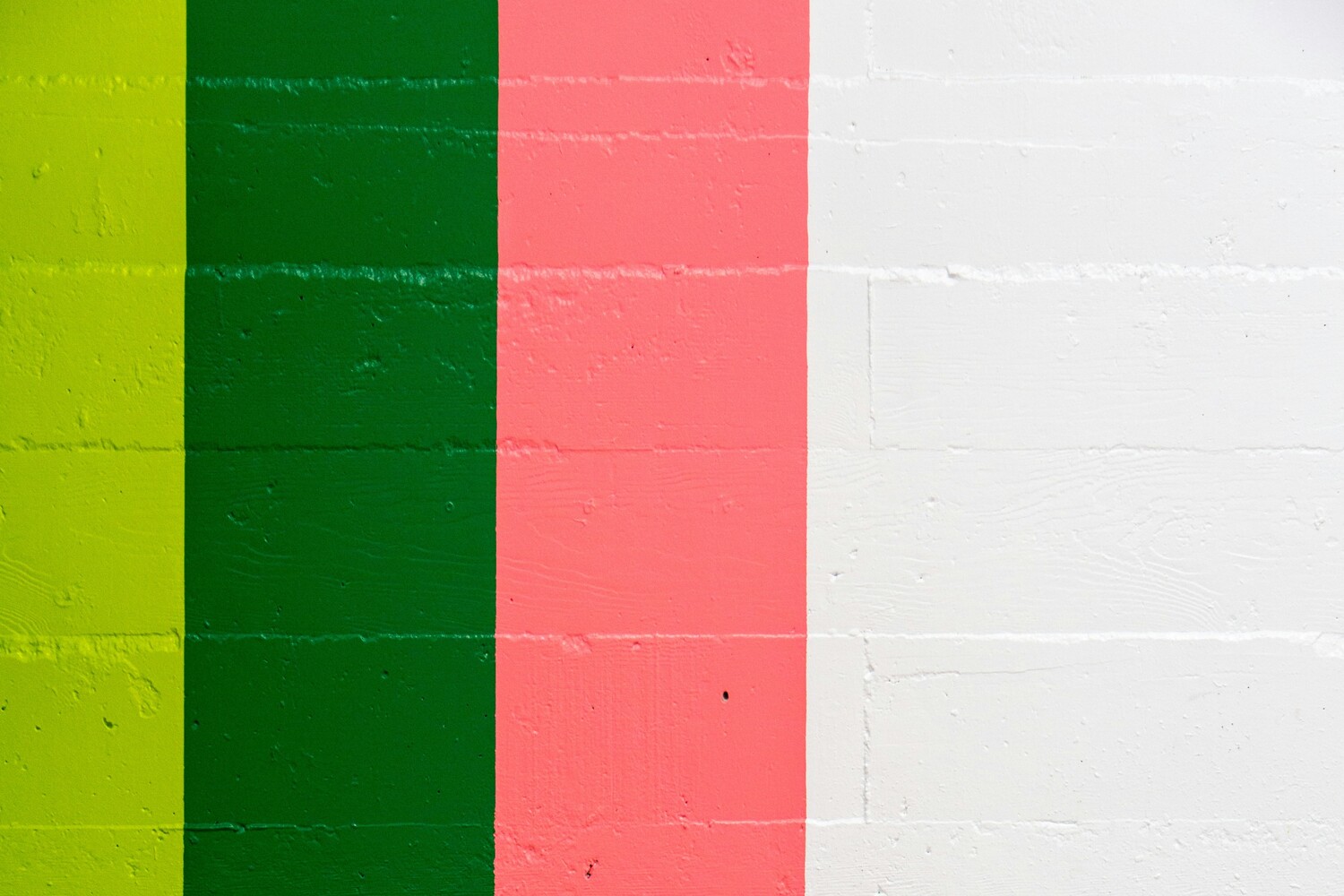 Pink, Green e Rainbow washing: che cosa sono (e come evitarli) - immagine di copertina
