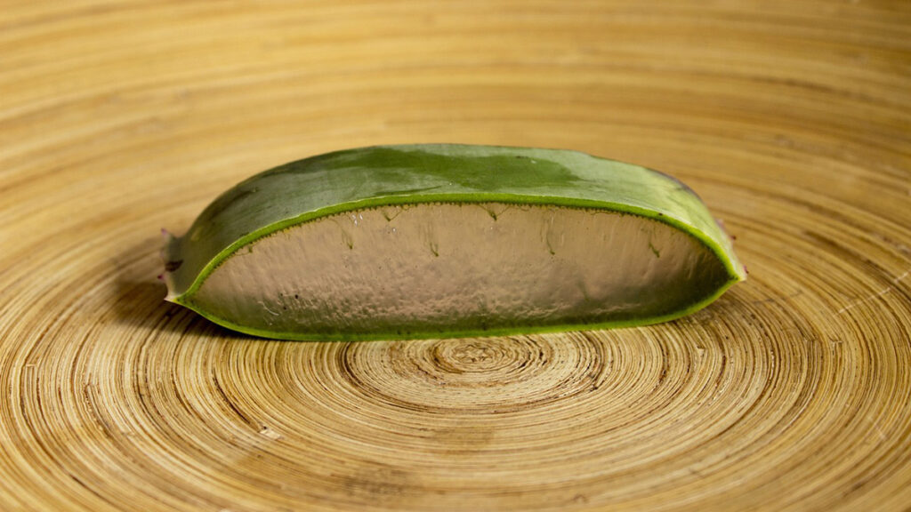 Sezione di aloe vera