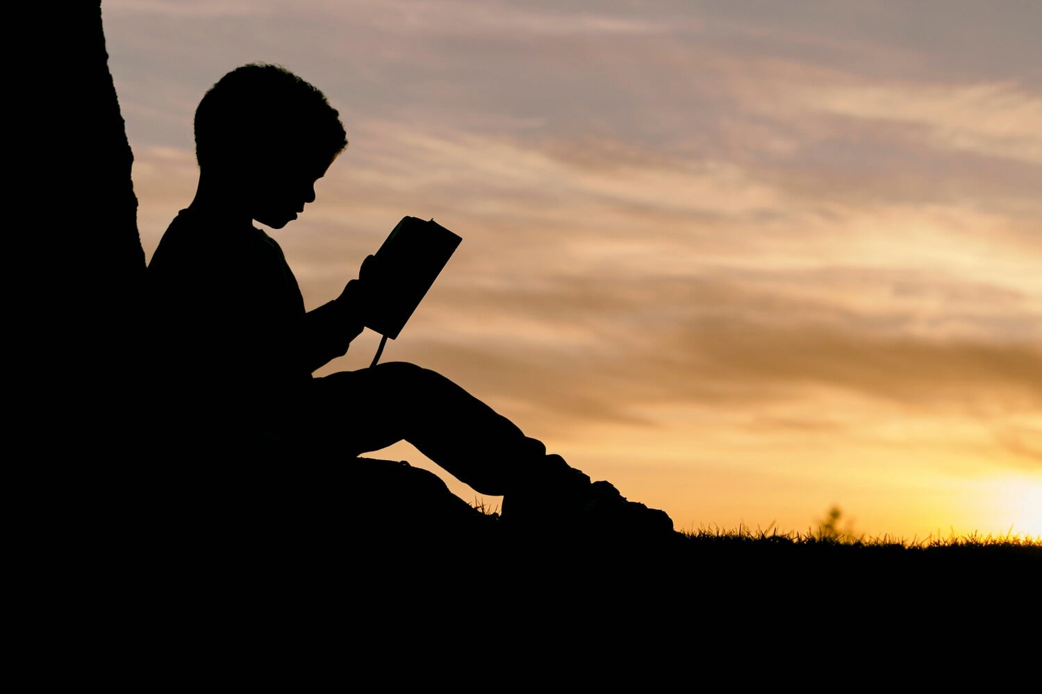 Climate Fiction Days: ecco come la letteratura può salvare il Pianeta - immagine di copertina