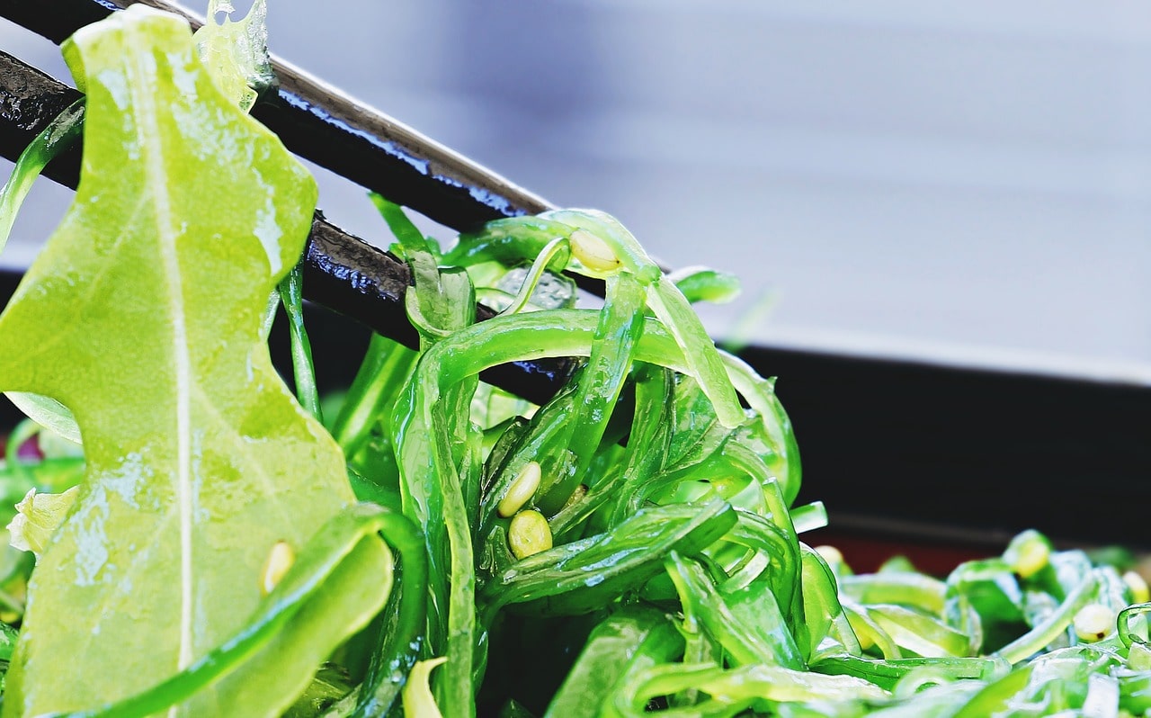 Scopri i benefici dell'alga Wakame per una nutrizione naturale - immagine di copertina