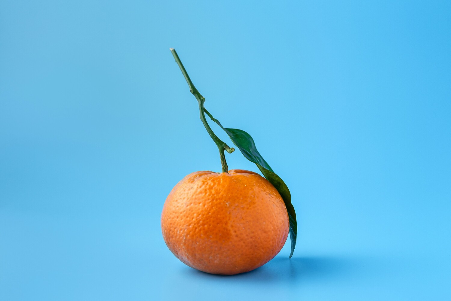 Mandarino: scopri le proprietà e i benefici di questo frutto - immagine di copertina