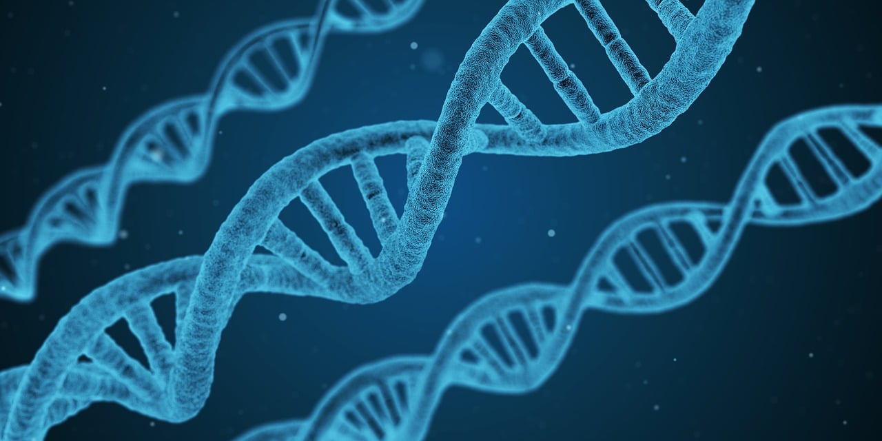 È stato un frammento di DNA a farci perdere la coda - immagine di copertina
