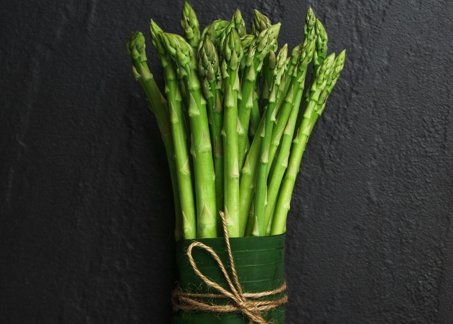 Pasta agli asparagi: deliziose ricette per un piatto primaverile - immagine di copertina