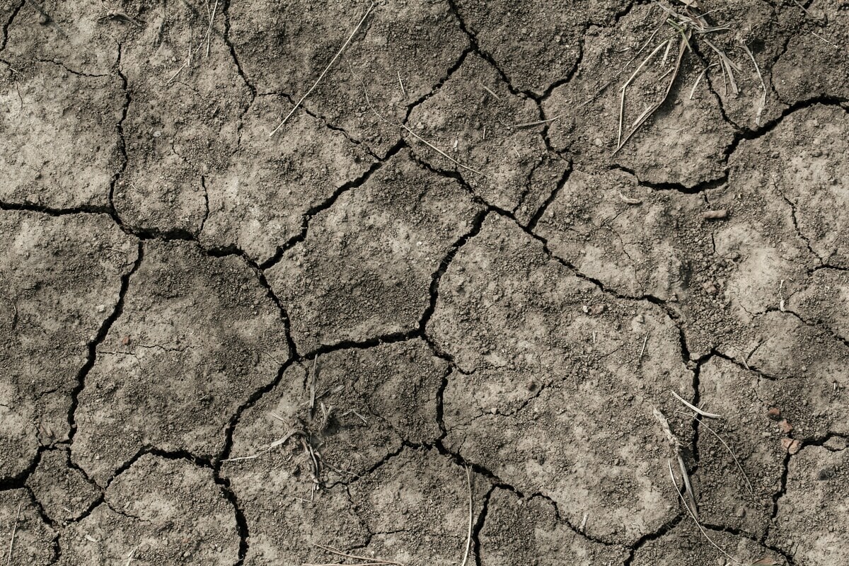 Ultima Generazione blocca la maratona di Roma ricordando la siccità in Sicilia - immagine di copertina