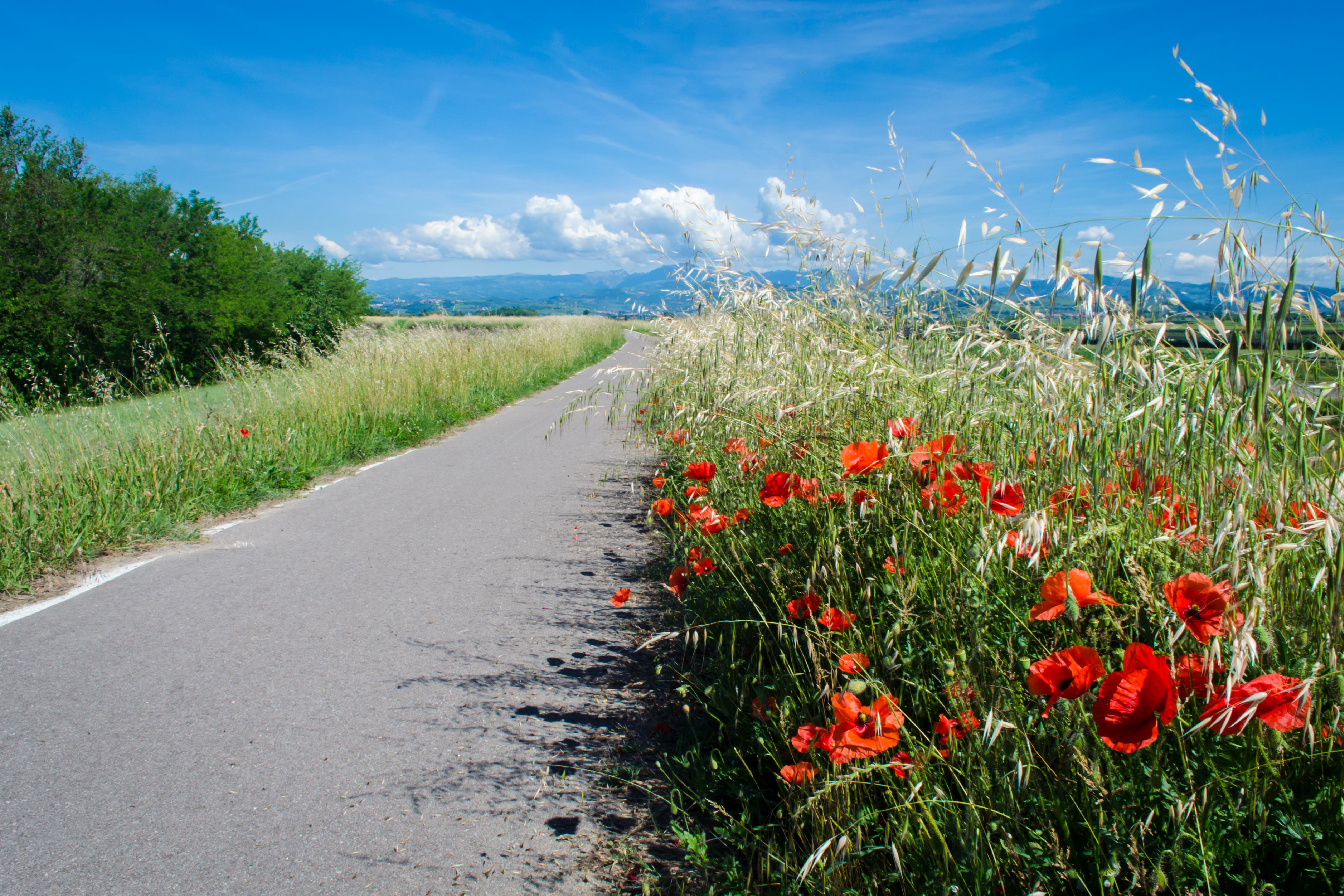 La Via Postumia: da Brendola a Monzambano - immagine di copertina
