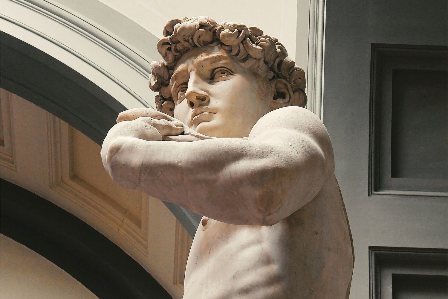 I 10 principali difetti di progettazione del corpo umano - Tradotti per voi - immagine di copertina