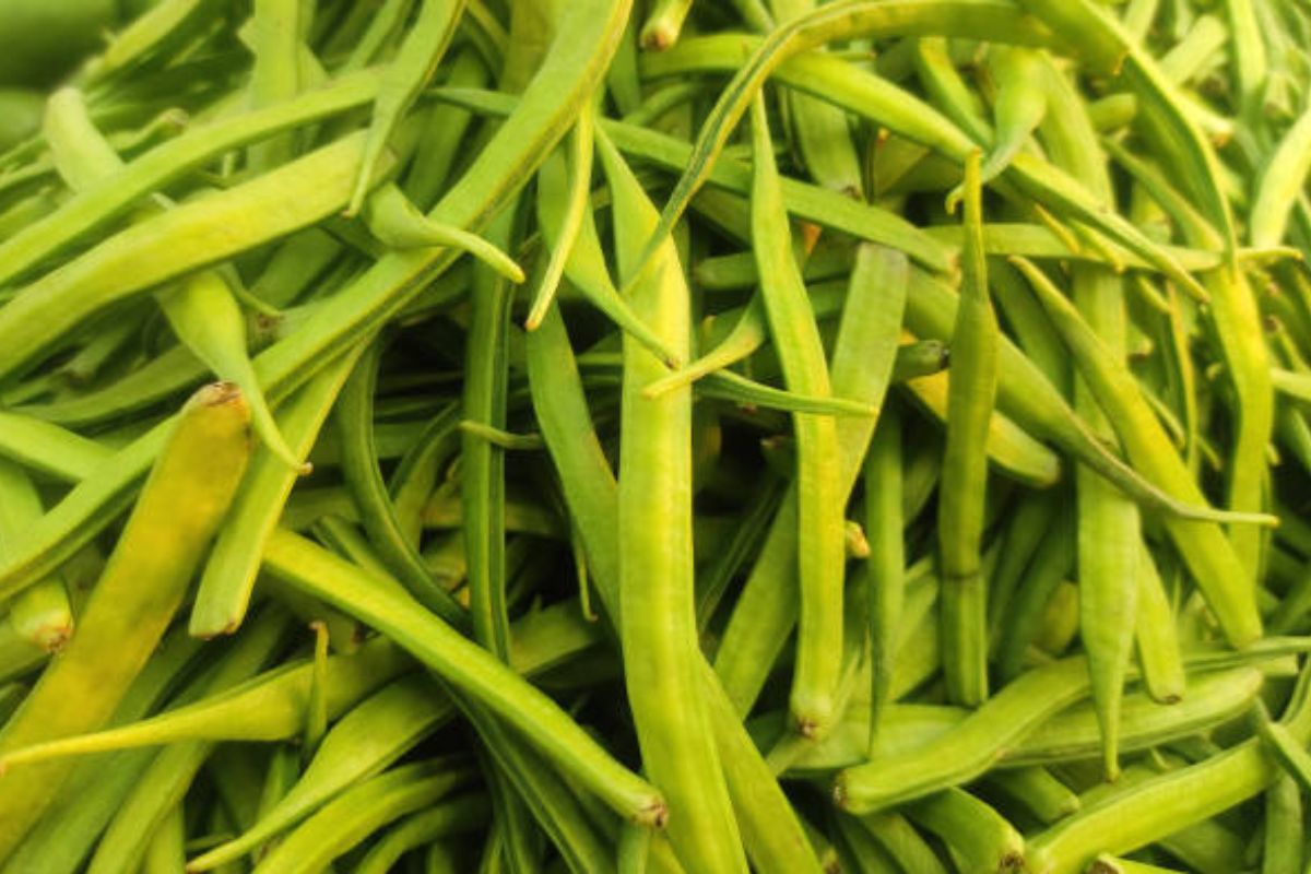 Cosa sapere sulla farina di guar - immagine di copertina