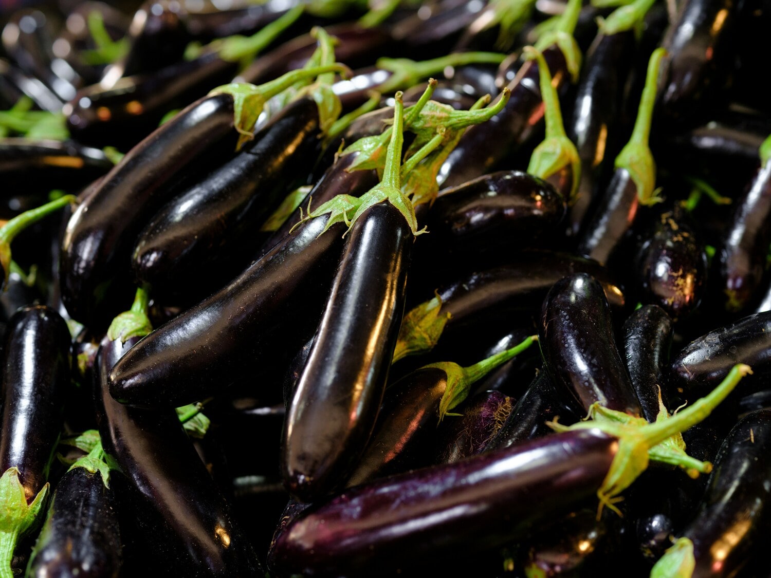 Scopri tutti i benefici delle melanzane per una nutrizione naturale - immagine di copertina