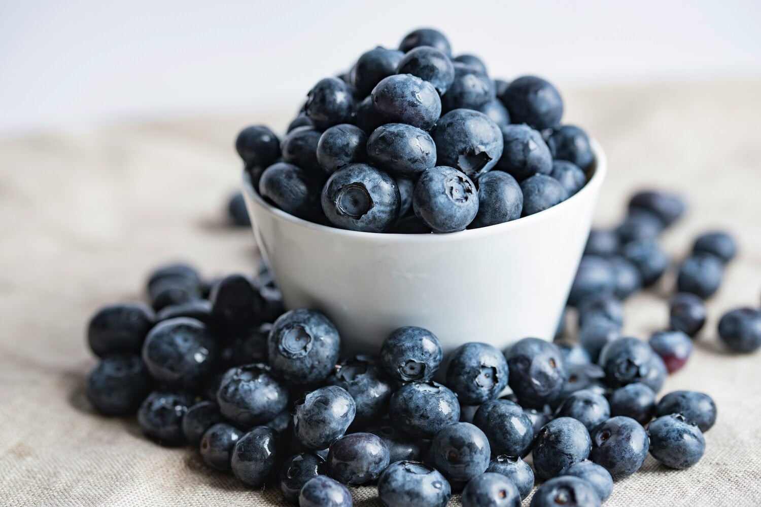 Mirtilli: scopri le proprietà e i benefici di questo superfood - immagine di copertina