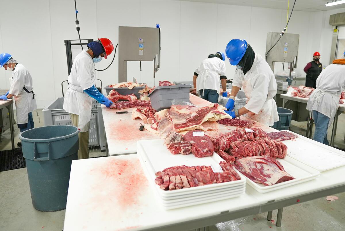 Il lato oscuro dell'industria della carne: l'impatto della produzione in Italia - immagine di copertina