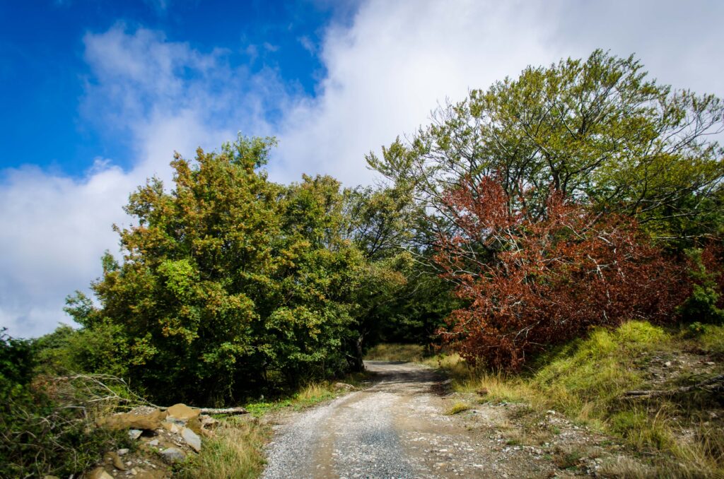 Camminando verso il Passo di Viamaggio