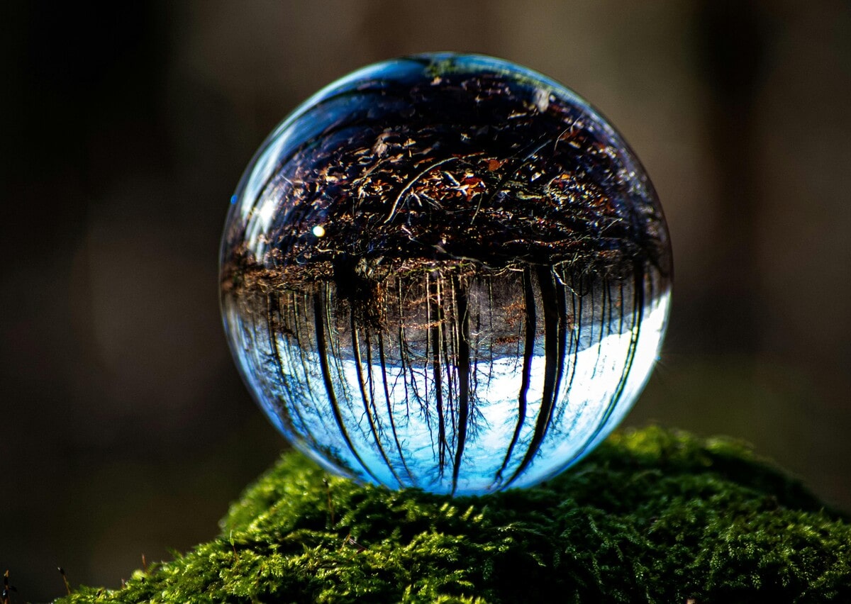 Earth Overshoot Day: da oggi, siamo in debito con il nostro Pianeta - immagine di copertina