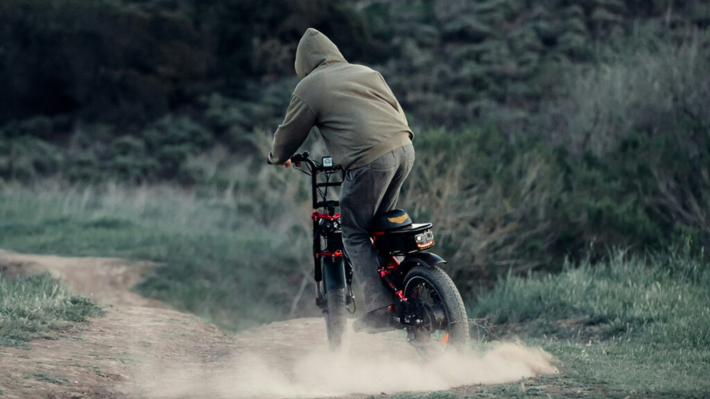 Mountain Bike elettrica